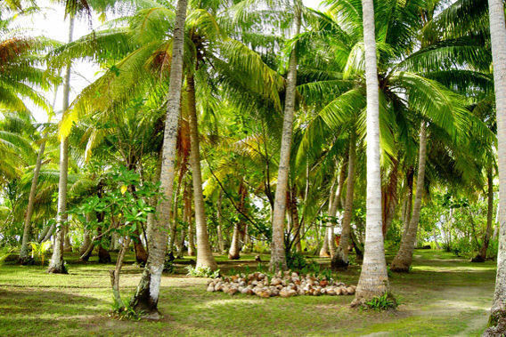 Motu Teta - Motu Tetaraire, Rangiroa Atoll, French Polynesia-slide-5