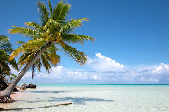 Motu Teta - Motu Tetaraire, Rangiroa Atoll, French Polynesia-slide-4