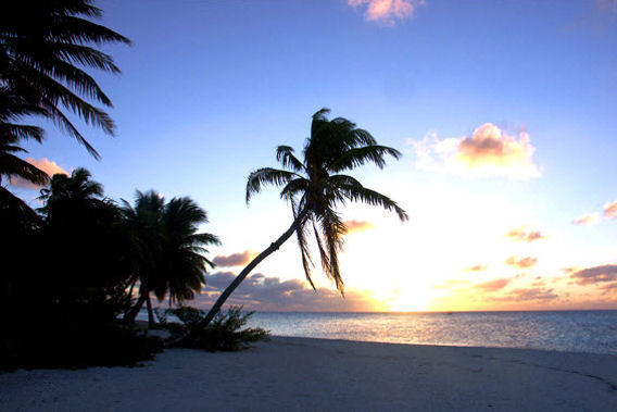 Motu Teta - Motu Tetaraire, Rangiroa Atoll, French Polynesia-slide-1