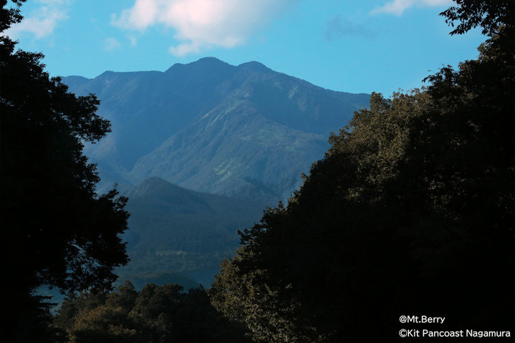 Sensational Little Adventures: Excite all your Senses in Tochigi Prefecture’s Nikko-slide-21