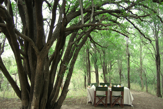 Morukuru - Madikwe Game Reserve, South Africa - Luxury Safari Lodge-slide-7