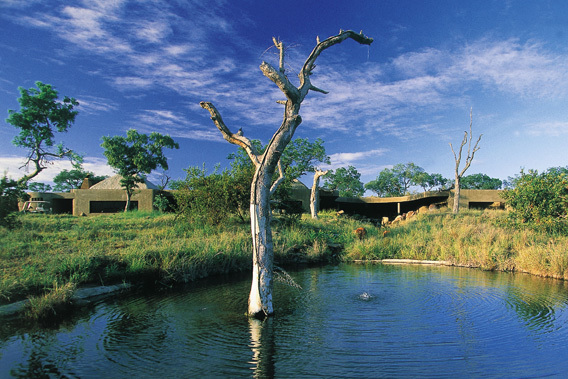 Sabi Sabi Earth Lodge - Kruger National Park, South Africa-slide-11