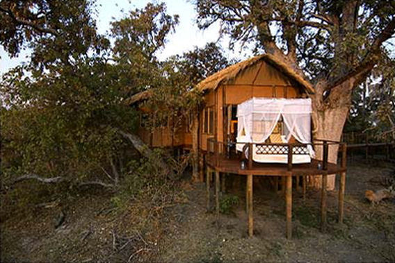 Sanctuary Baines' Camp - Okavango Delta, Botswana - 5 Star Safari Camp-slide-8