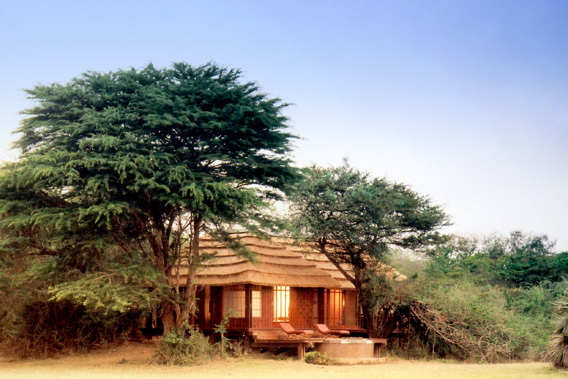 Phinda Private Game Reserve - KwaZulu Natal, South Africa - Exclusive Luxury Safari Lodge-slide-6