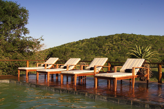 Phinda Private Game Reserve - KwaZulu Natal, South Africa - Exclusive Luxury Safari Lodge-slide-3