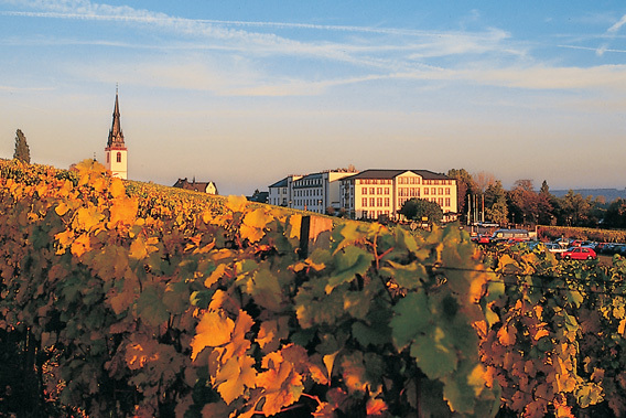 Schloss Reinhartshausen Kempinski - Rhine Riesling Wine Region, Germany-slide-3