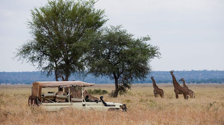 Sanctuary Swala Camp - Tarangire National Park, Tanzania-slide-12