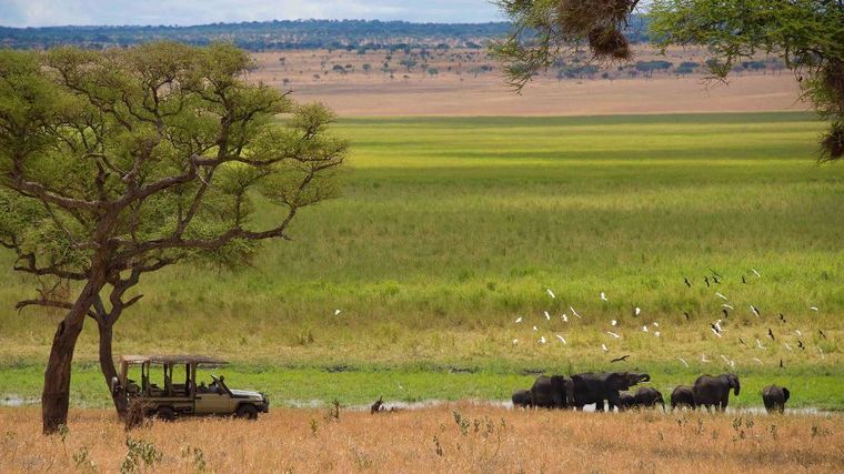 Sanctuary Swala Camp - Tarangire National Park, Tanzania-slide-11