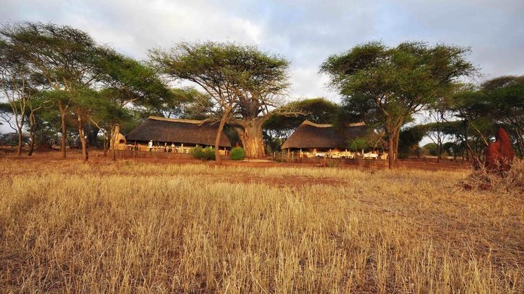 Sanctuary Swala Camp - Tarangire National Park, Tanzania-slide-8