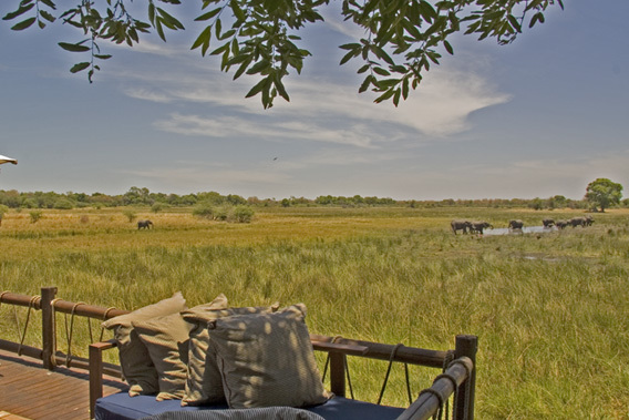 Sanctuary Chief's Camp - Okavango Delta, Botswana - Luxury Safaris-slide-12