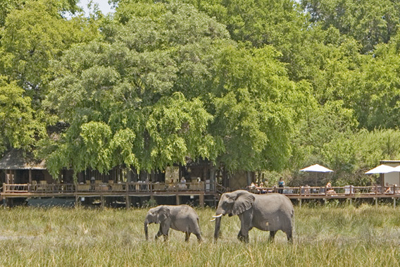 Sanctuary Chief's Camp - Okavango Delta, Botswana - Luxury Safaris-slide-11