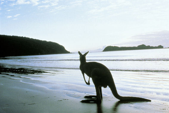 Southern Ocean Lodge - Kangaroo Island, Australia - Exclusive 5 Star Luxury Lodge-slide-13