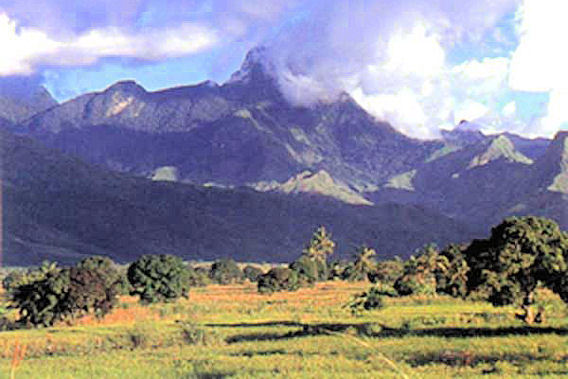 Arusha Coffee Lodge - Arusha, Tanzania - Luxury Resort Hotel-slide-3