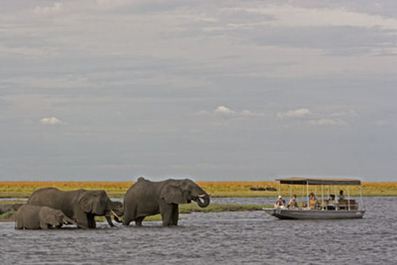 Sanctuary Chobe Chilwero - Chobe National Park, Botswana - Luxury Safari Camp-slide-11