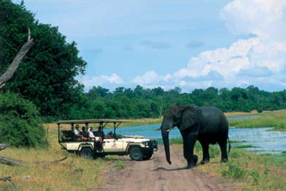 Sanctuary Chobe Chilwero - Chobe National Park, Botswana - Luxury Safari Camp-slide-4