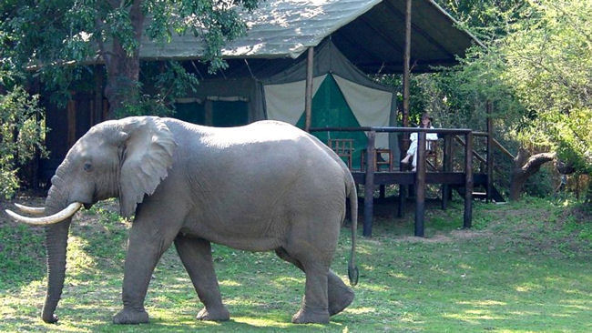 Chiawa Camp - Lower Zambezi National Park, Zambia-slide-1