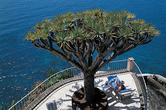 Belmond Reid's Palace - Funchal, Madeira, Portugal - 5 Star Luxury Resort Hotel-slide-5