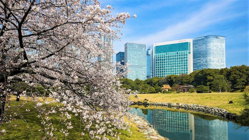 Conrad Tokyo, Japan 5 Star Luxury Hotel-slide-1