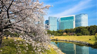 Conrad Tokyo, Japan 5 Star Luxury Hotel