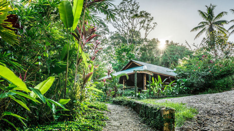 Drake Bay Getaway Resort - Osa Peninsula, Costa Rica-slide-2