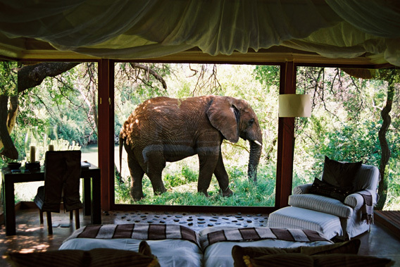 Makanyane Safari Lodge - North West Province, South Africa-slide-14