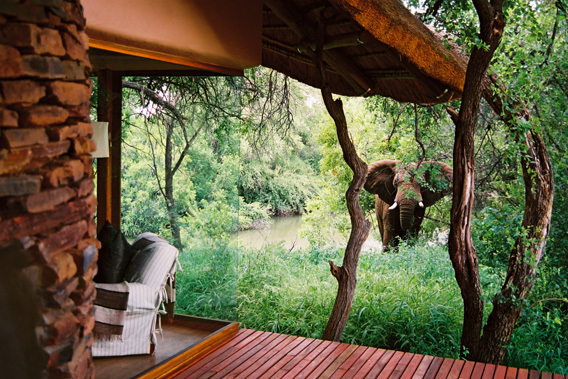 Makanyane Safari Lodge - North West Province, South Africa-slide-13