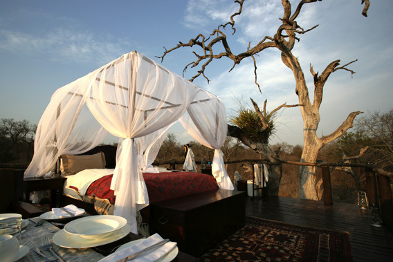 Lion Sands Ivory Lodge - Kruger National Park, South Africa-slide-1