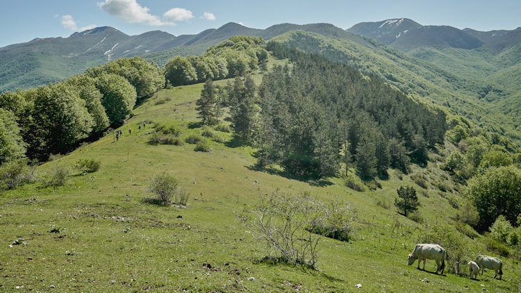 The Ranch Italy at Palazzo Fiuggi - Fitness, Wellness & Health Retreat Programs-slide-11