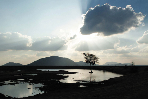 Madikwe Hills Private Game Lodge - South Africa-slide-6