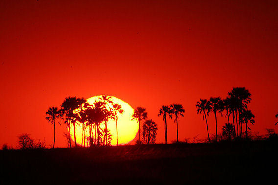 Jack's Camp - Makgadikgadi Pans National Park, Kalahari Desert, Botswana-slide-3