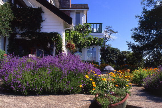 Sooke Harbour House - British Columbia, Canada-slide-10