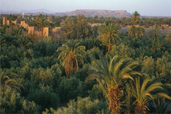 Dar Ahlam - Skoura Palmeraie, Ouarzazate, Morocco - 5 Star Luxury Resort-slide-1