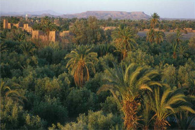 Dar Ahlam - Skoura Palmeraie, Ouarzazate, Morocco - 5 Star Luxury Resort