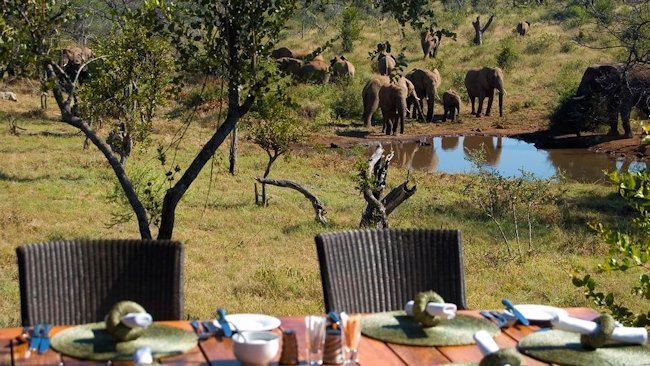 Royal Madikwe - South Africa - Exclusive Luxury Safari Residence -slide-2