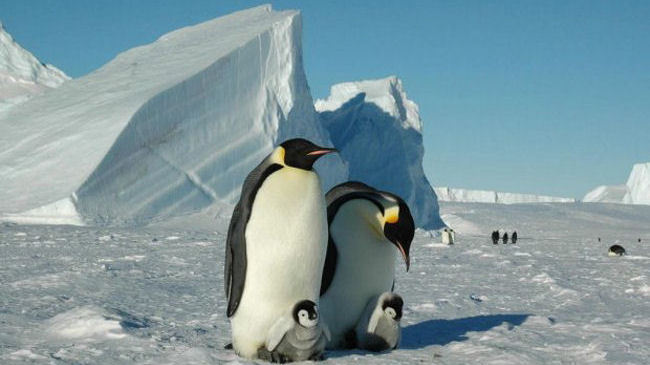 White Desert - Antarctica - Luxury Camp-slide-4