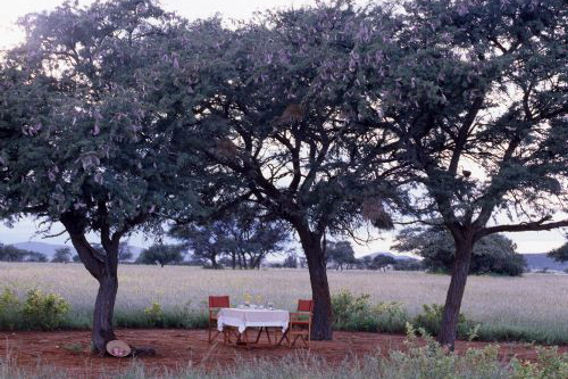 Tarkuni - Tswalu Kalahari Reserve, Northern Cape, South Africa-slide-3