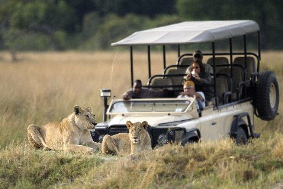 Vumbura Plains - Moremi Game Reserve, Okavango Delta, Botswana-slide-6