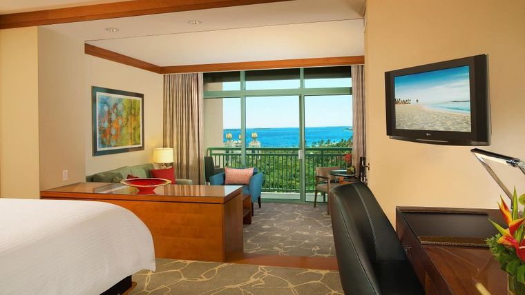 The Cove Atlantis - Paradise Island, Bahamas - 5 Star Luxury Resort Hotel-slide-18