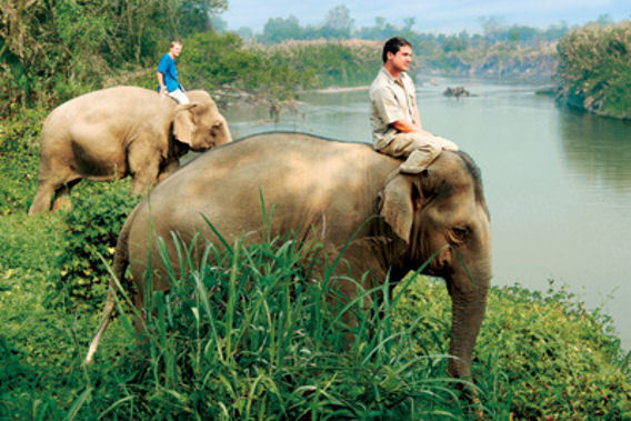 Four Seasons Tented Camp Golden Triangle - Chiang Rai, Thailand - 5 Star Luxury Camp-slide-1