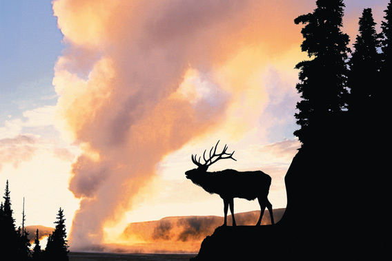 Teton Mountain Lodge & Spa - Jackson Hole, Wyoming-slide-2