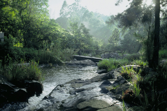 Cybele Forest Lodge and Health Spa - South Africa - 5 Star Luxury Resort-slide-1