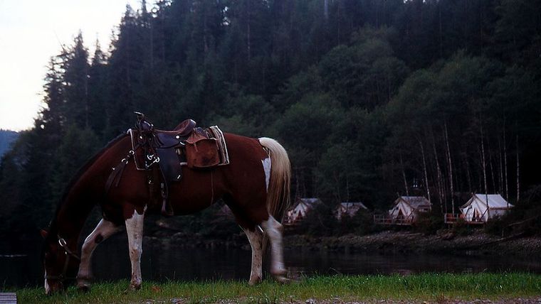 Clayoquot Wilderness Resort - Vancouver Island, British Columbia, Canada-slide-15