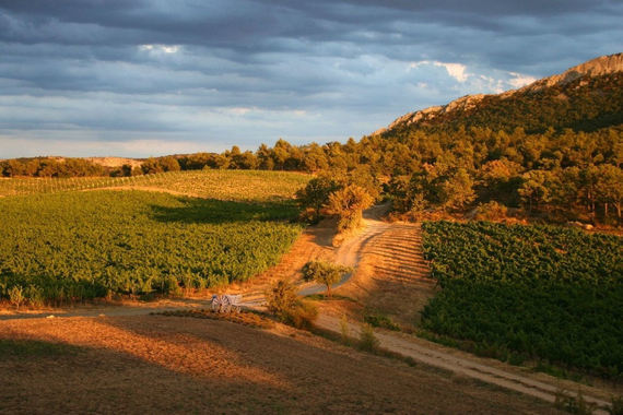 Domaine de la Verriere - Provence, France - Luxury Estate Rental-slide-16