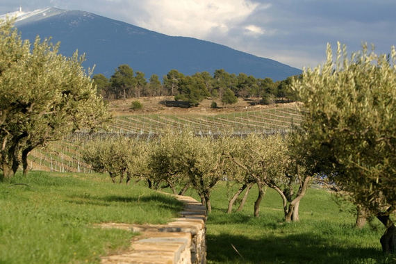 Domaine de la Verriere - Provence, France - Luxury Estate Rental-slide-2