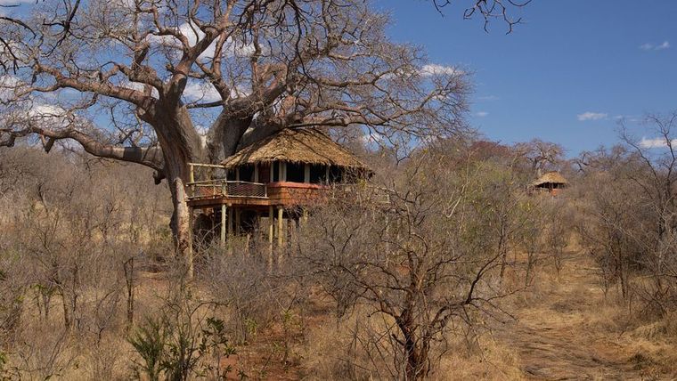 Tarangire Treetops - Serengeti, Tanzania - Luxury Safari Lodge-slide-6