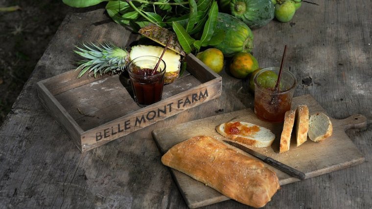 Belle Mont Farm at Kittitian Hill - St. Kitts Luxury Resort-slide-7