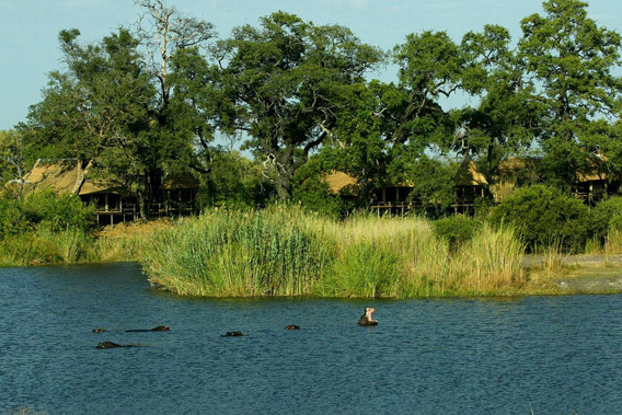 Kings Pool Camp - Linyanti Wildlife Reserve, Chobe National Park, Botswana-slide-3