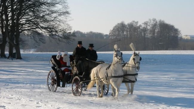 Lucknam Park horses winter