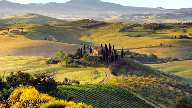 Tuscany countryside