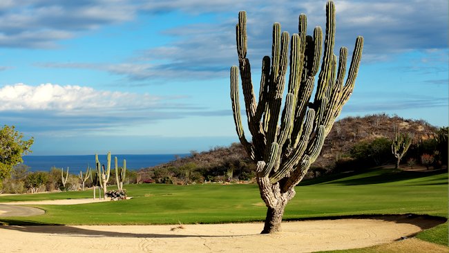 golf meeting the sea in cabo